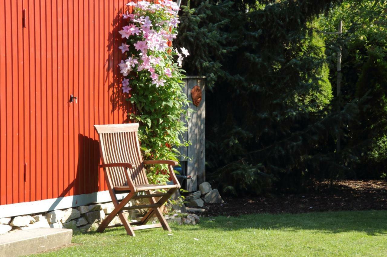 Haus Kolmesfeld Apartment Sensweiler Екстериор снимка
